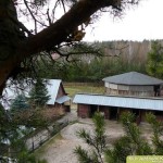 klub jeździecki podlfasie
