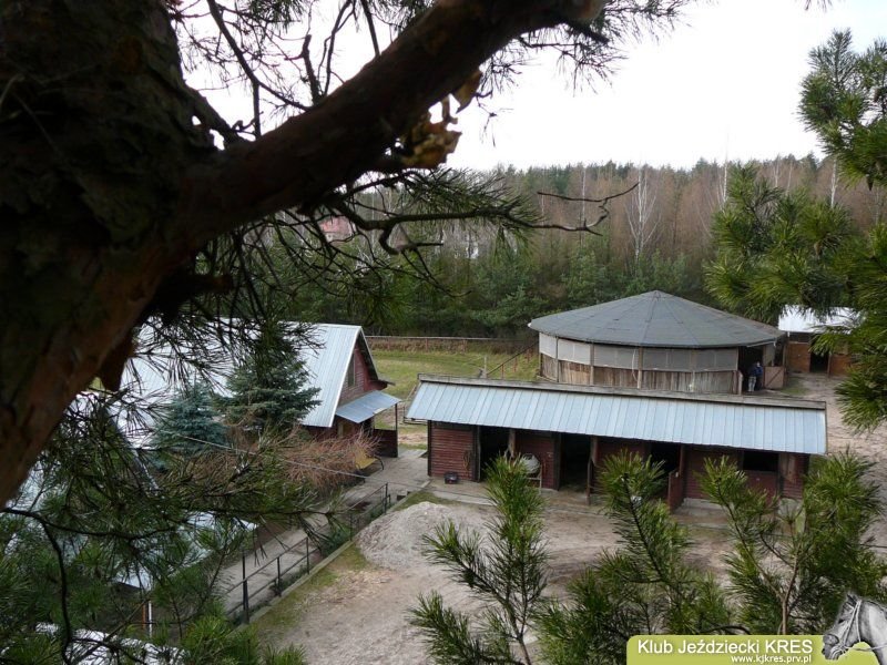 klub jeździecki podlasie