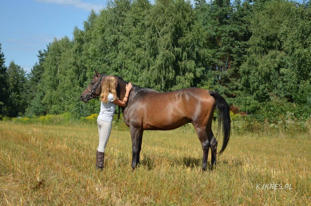 stadnina koni podlasie